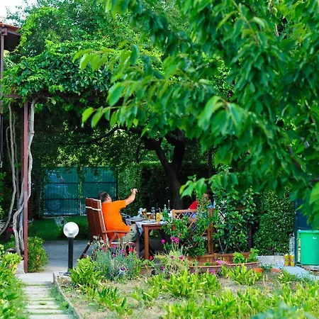 Garden *