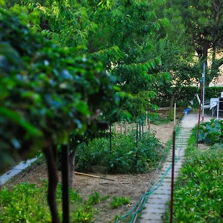 Appartement Garden Split