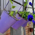 Garden Split