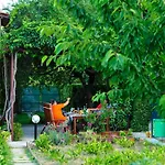 Garden *