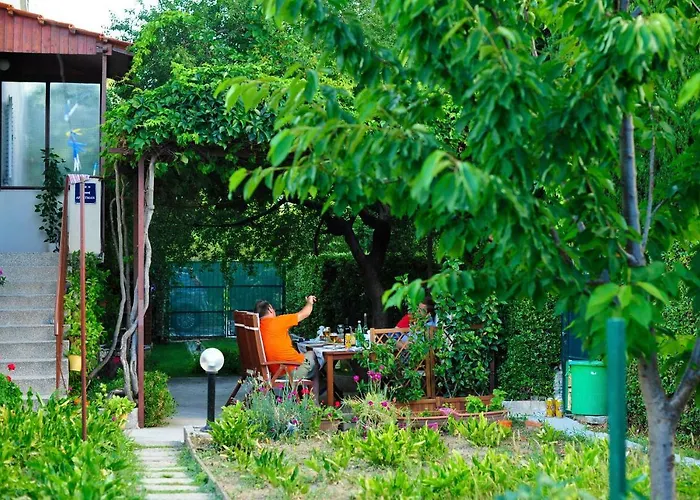 Garden *