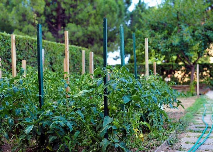 Garden * 斯普利特